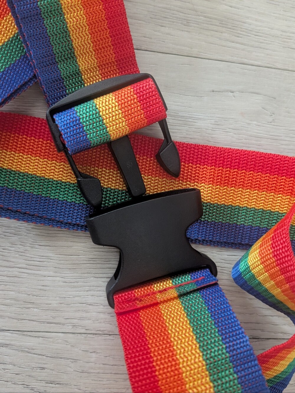Rainbow Luggage Strap Set of 2